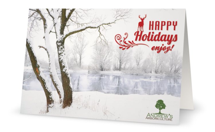 2013-digital-holiday-card